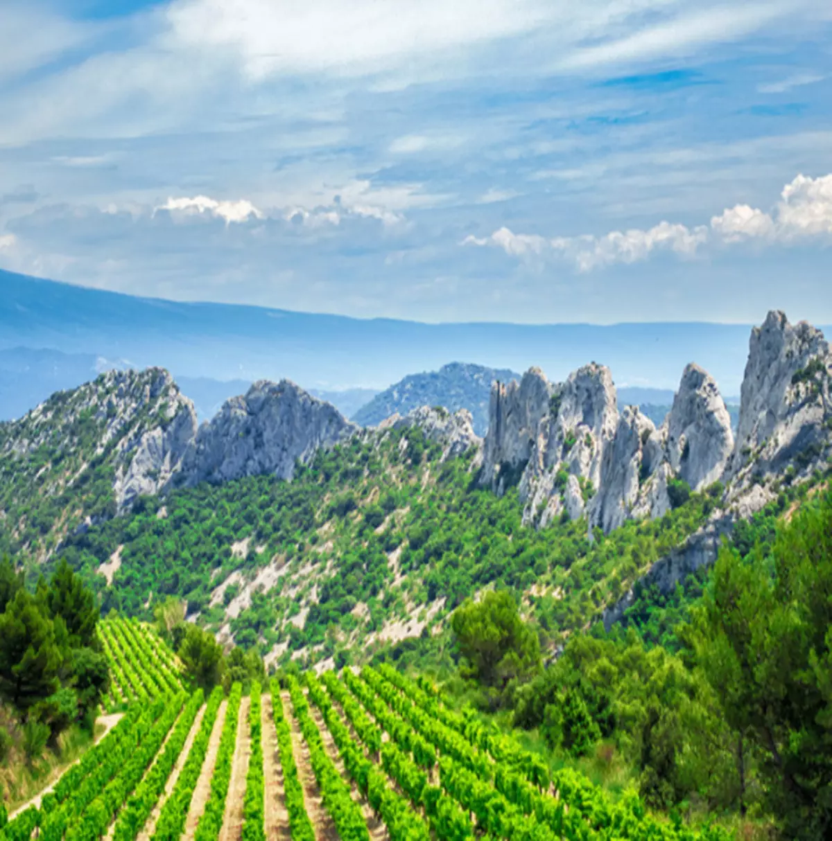 The Dentelles de Montmirail